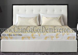 Đệm bông ép Everon