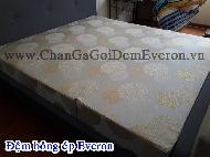 Các độ dày của đệm bông ép 5cm 9cm 15cm và 18cm nên dùng loại nào
