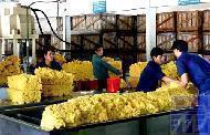 Sự khác biệt giữa đệm cao su thiên nhiên & cao su nhân tạo