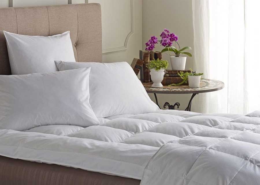 bao-lau-nen-giat-thay-ga-giuong-mot-lan