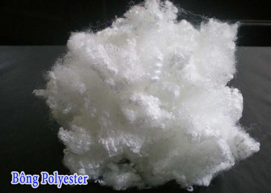 Sợi bông Polyester