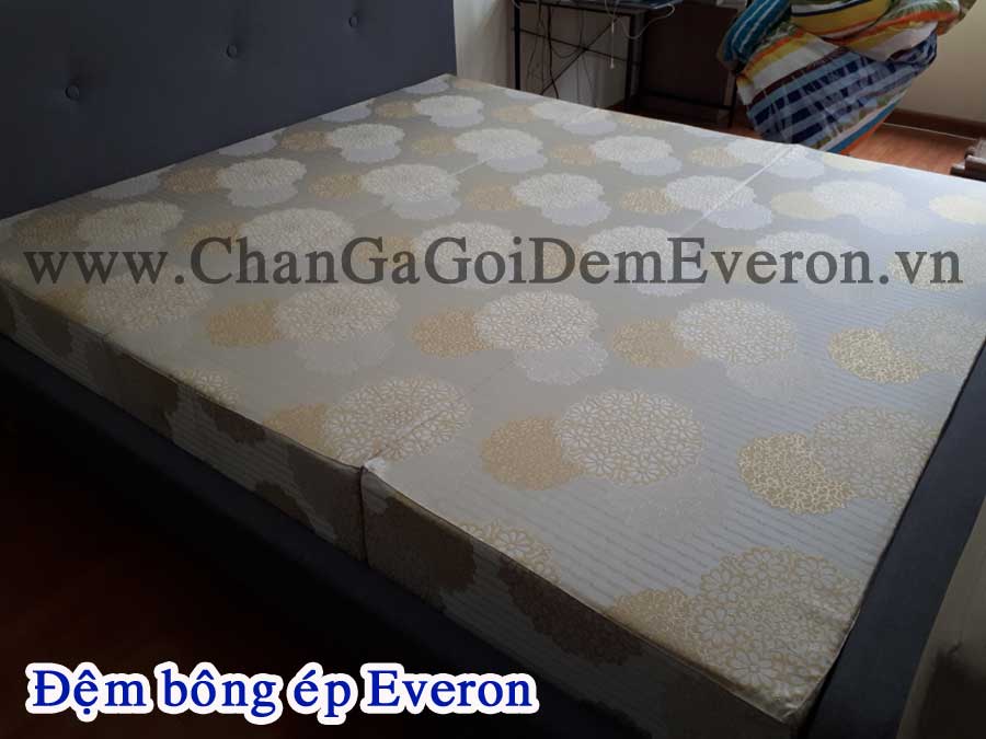 Đệm bông ép Everon