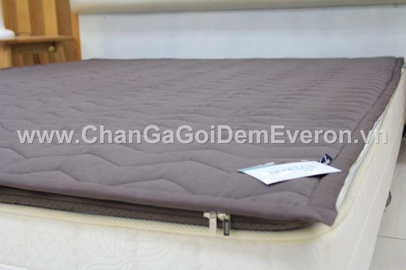 cac-loai-dem-da-nang-everon