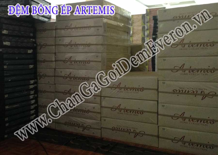 Đệm bông ép Artemis