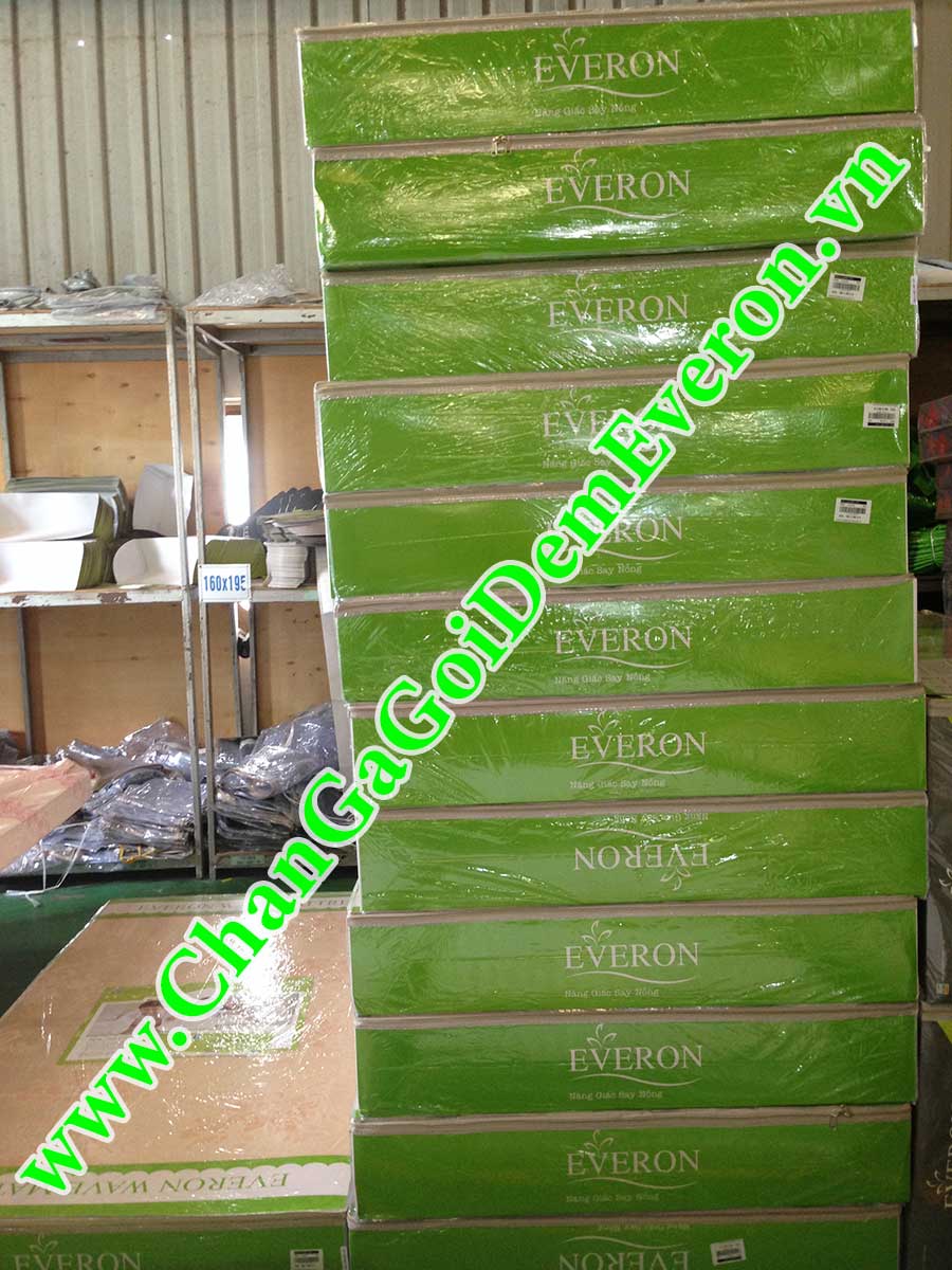 Đệm bông ép mỏng trải sàn Everon