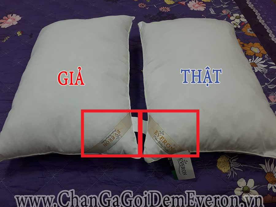 logo-tren-mac-cheo-ruot-goi-everon-gia-la-nho